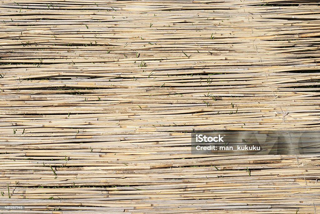 Reeds en el césped - Foto de stock de Abstracto libre de derechos