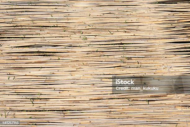 Reeds En El Césped Foto de stock y más banco de imágenes de Abstracto - Abstracto, Amarillo - Color, Arquitectura