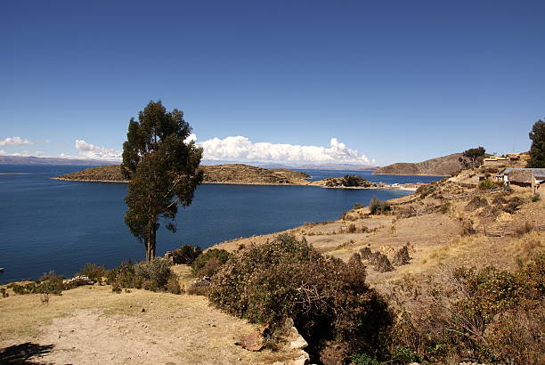 istock Isla del Sol, Titicaca lake, Bolivia 481258499