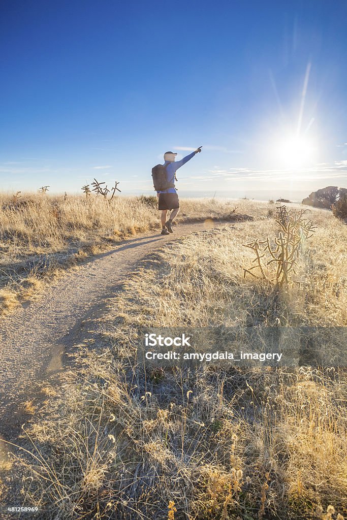 leadership man hiking across desert landscape meadow with cactus and grasses as the sunset hits the western horizon points the way forward. such beautiful nature scenery and outdoor sports and fitness opportunities can be found in the sandia mountains of albuquerque, new mexico. vertical wide angle composition. Active Lifestyle Stock Photo