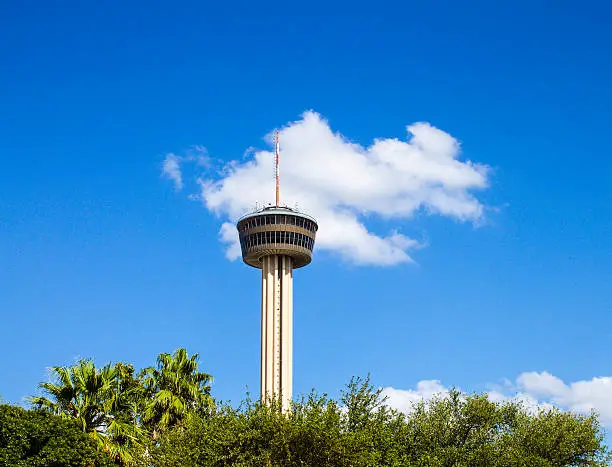 Photo of Tower Rises Above Tree Line