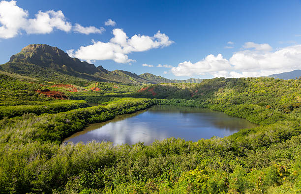 istock Menehune fishpond Kauai Hawaii 481265481