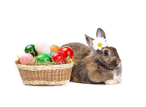 istock Easter bunny sitting near basket with eggs 481265515