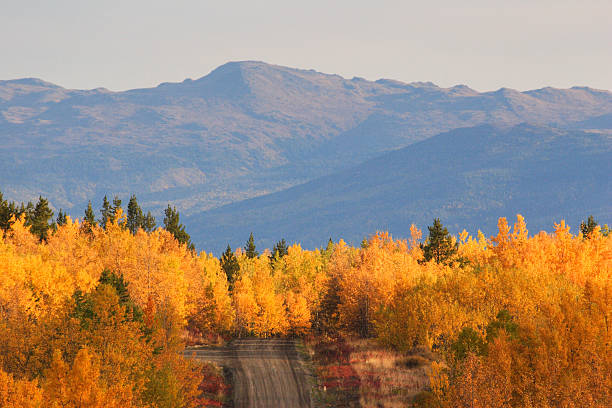 istock Autumn colored trees along road in British Columbia 481267101