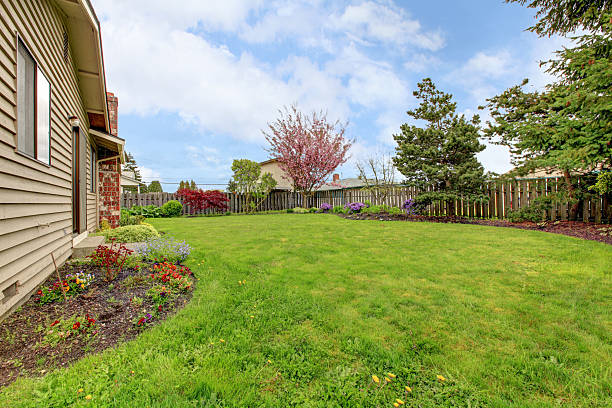 istock View of simple fenced backyard 481268547