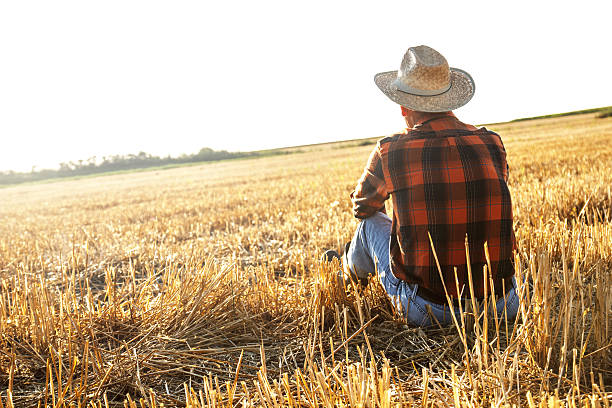 istock Senior farmer sitting on field 481268698