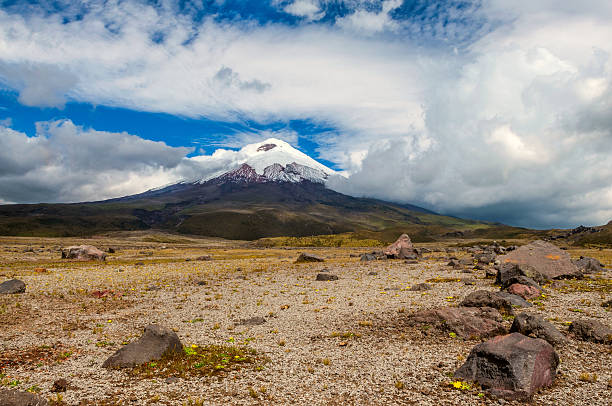 Cotopaxi volcano over the plateau, Ecuador Cotopaxi volcano over the plateau, Andean Highlands of Ecuador, South America cotopaxi photos stock pictures, royalty-free photos & images