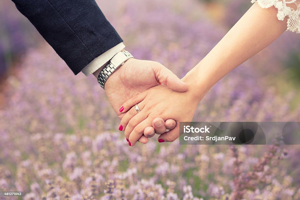 Togetherness Holding hands. Close up of a male and female hands holding each other. Lavender field in the back. Holding Hands Stock Photo