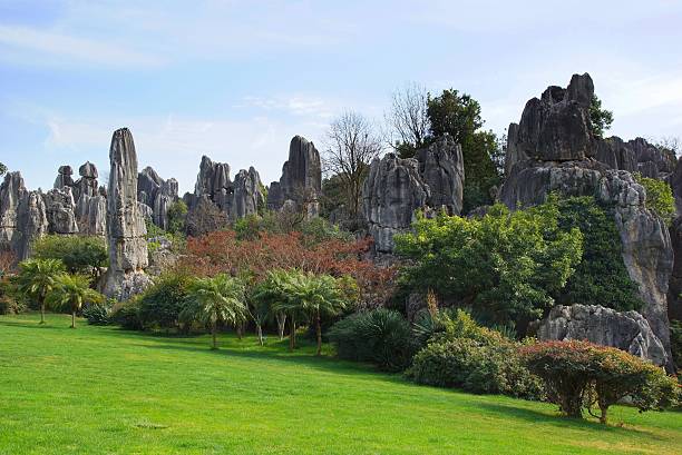 istock Shilin Stone Forest in Kunming, Yunnan, China 481273245