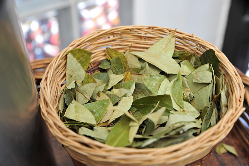 Coca leaves in a wooden basket.