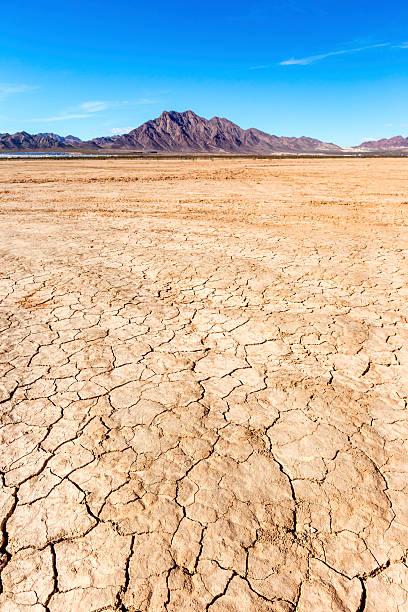 istock Dry lake bed in desert 481274015