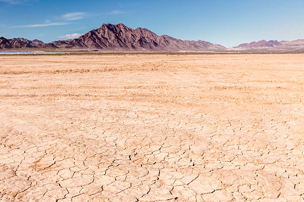 il letto di un lago prosciugato nel deserto - nevada usa desert arid climate foto e immagini stock