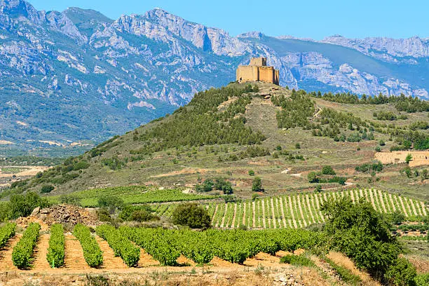Vineyard with Davaillo castle as background, La Rioja (Spain)