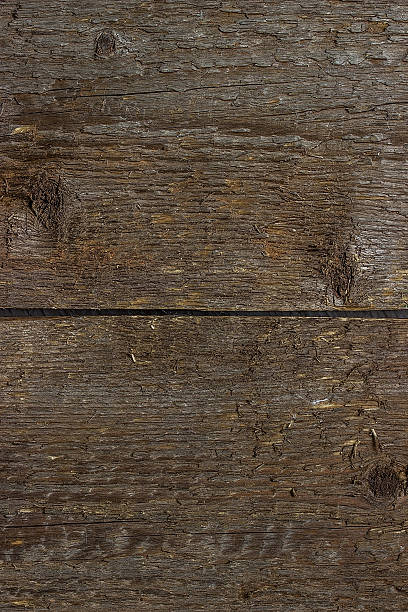 istock The texture of the tree, saw cut 481274642