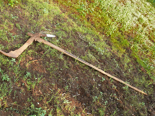 istock traditional Plough at farms india 481275013