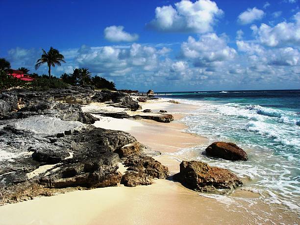 istock Beach landscape for walk and play in the ocean 481275402