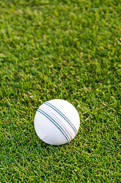 White Cricket Ball White cricket ball on grass chefs whites stock pictures, royalty-free photos & images