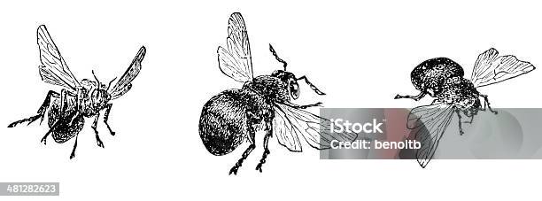 Pszczoły W Threes - Stockowe grafiki wektorowe i więcej obrazów Pszczoła - Pszczoła, Ilustracja, Grawerunek