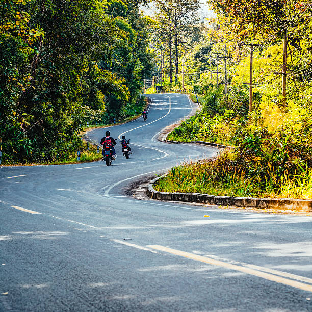 извилистая дорога через лес - thailand forest outdoors winding road стоковые фото и изображения