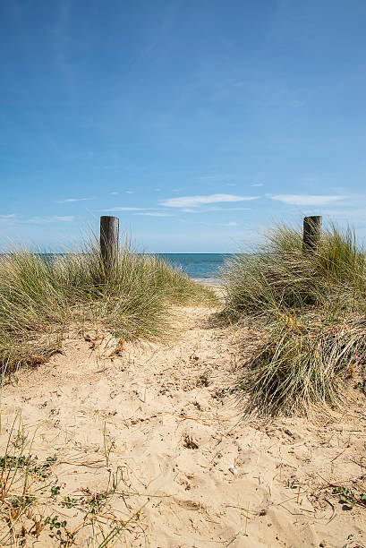 istock Lovely sand dunes and beach landscape on sunny Summer day 481287894