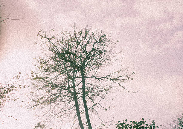 istock vintage painterly nature sceen with bare tree and bush 481290778