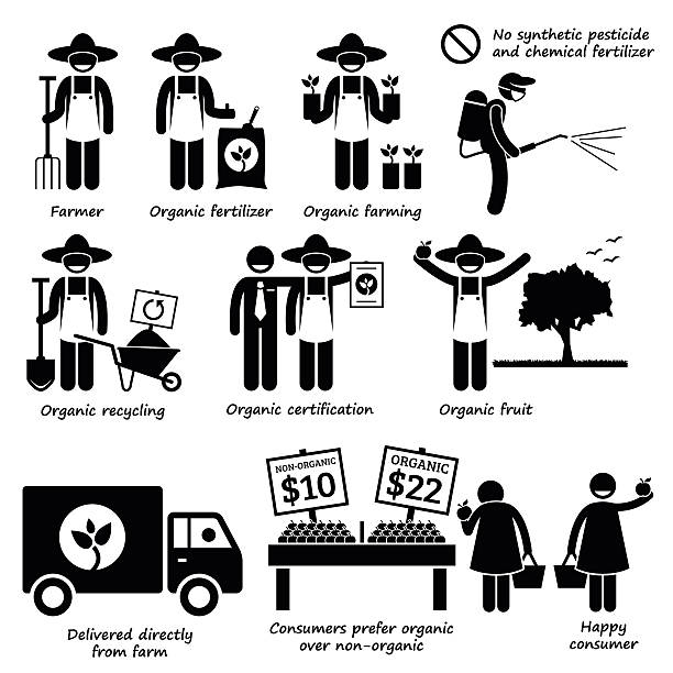 Organic Farming Vegetable Fruits Stick Figure Pictogram Icons A set of human pictogram representing organic farming process. Organic vegetable and fruits does not use synthetic pesticide and chemical fertilizer. They recycle their resources too. They taste better and are more expensive compared to non-organic. farmer silhouettes stock illustrations