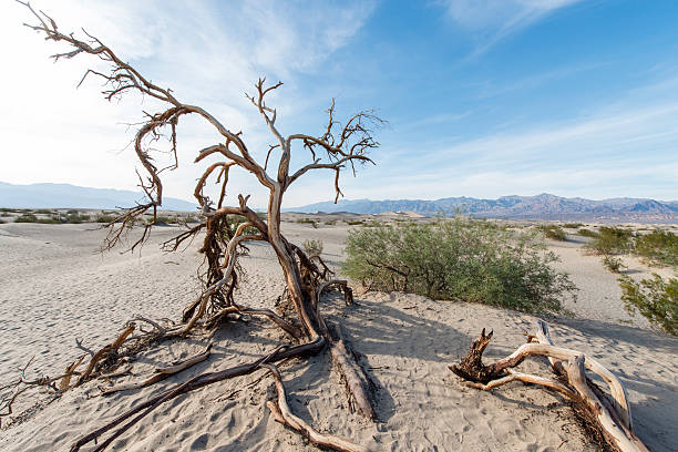 istock Death Valley National Park 481296812