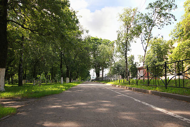 istock landscape park in the city summer 481300474