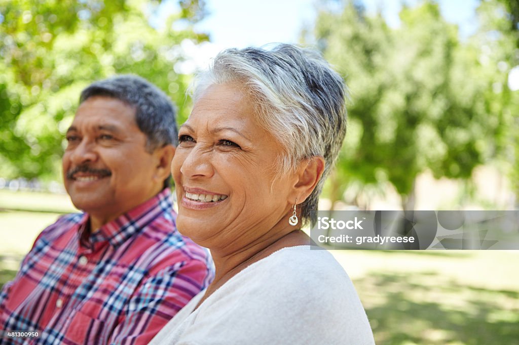 We've smiled everyday we've been together Shot of a loving senior couple enjoying quality time together outdoorshttp://195.154.178.81/DATA/i_collage/pu/shoots/805100.jpg 2015 Stock Photo