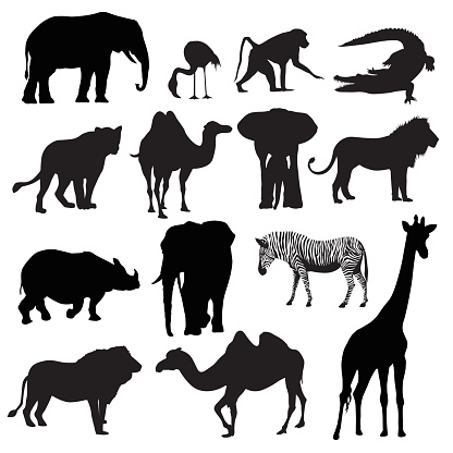 African Animals Stock Illustration - Download Image Now - In Silhouette,  Vector, Animal - iStock