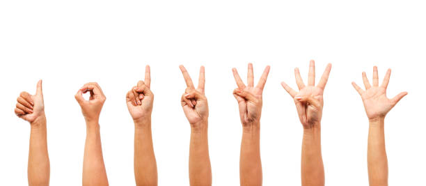 istock woman hands  isolated show the number 481303846