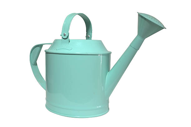 istock Green watering can, pot on white background 481307548