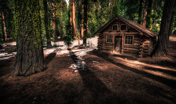 Cabin in the Forest stock photo