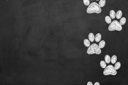 Dog footprint on blackboard.