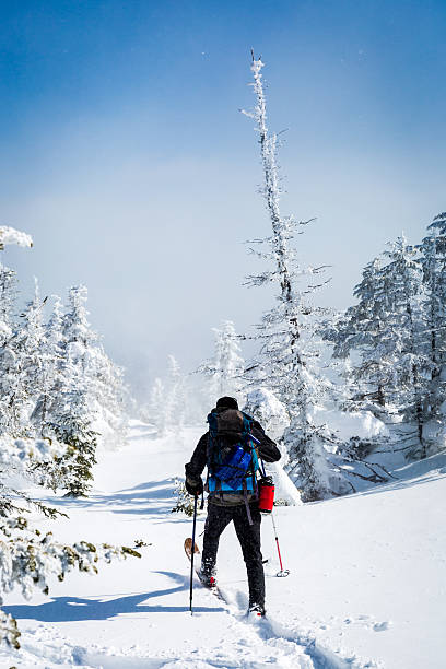uomo cammina in racchette da neve in inverno il paesaggio da trail - winter snowshoeing running snowshoe foto e immagini stock