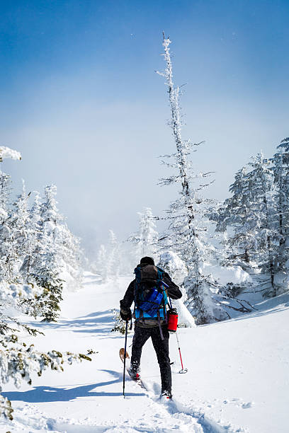 человек, ходить в снегоступ трейл в зимний пейзаж - winter snowshoeing running snowshoe стоковые фото и изображения