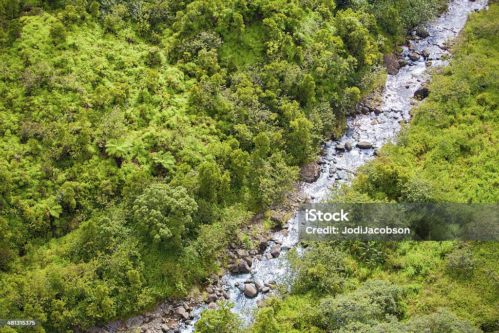 Vista aérea de las montañas y corriente en Hawai - Foto de stock de Agua libre de derechos