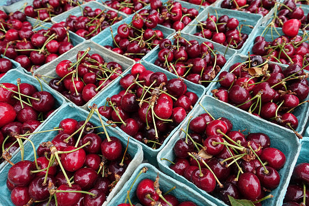 frische bio-kirschen im farmers market - sour cherry stock-fotos und bilder