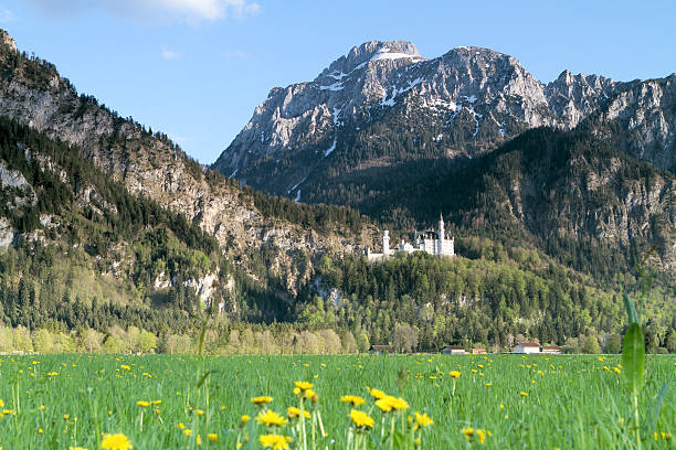 보기 성 노이슈반슈타인 - hohenschwangau castle 뉴스 사진 이미지