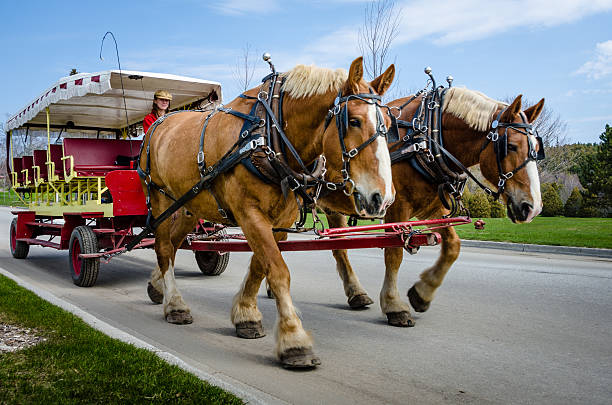 Some horses tied up in a corral. This modern day scene reminds me of a scene from the past.