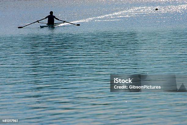 Photo libre de droit de Rameurs Dans La Matin banque d'images et plus d'images libres de droit de Faire du scull - Faire du scull, Vue de dos, Activité de loisirs