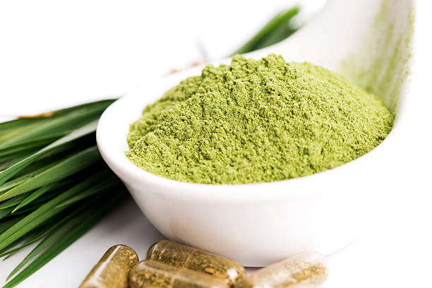 istock Young barley grass. Detox superfood. 481322072