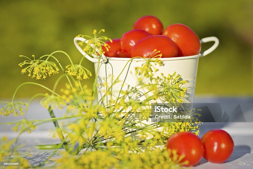 Pomodori e aneto - Foto stock royalty-free di Alimentazione sana