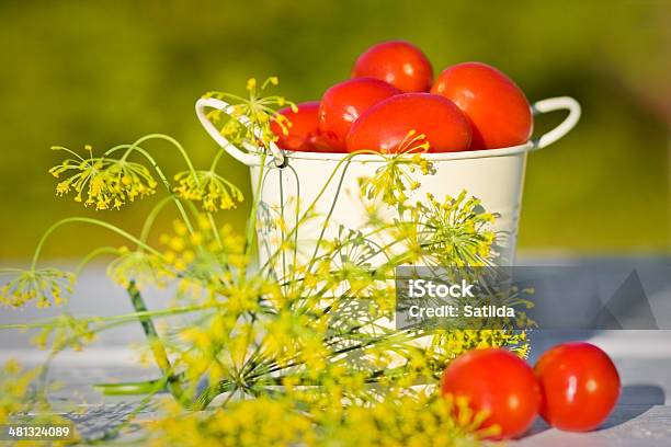 Tomates E Endro - Fotografias de stock e mais imagens de Alimentação Saudável - Alimentação Saudável, Ao Ar Livre, Balde