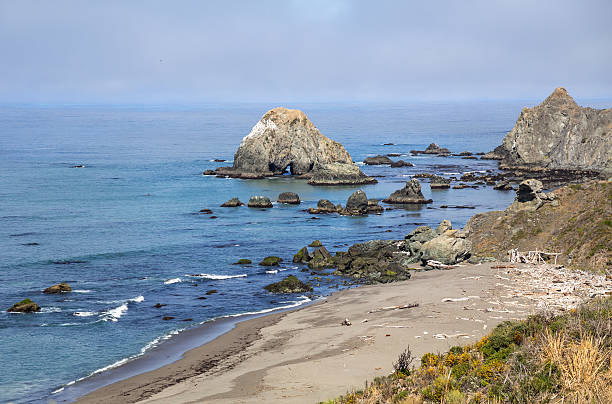 istock Natural Arch rock in California ocean coast 481325384