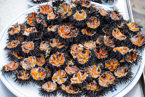 Cut sea urchins laid on a dish for sale in the public fish market of Gallipoli - Puglia, Italy 