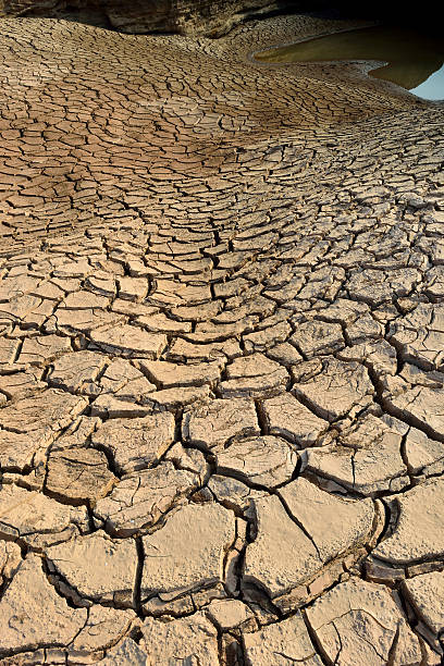 réchauffement de la planète - global warming cracked dirt earth photos et images de collection