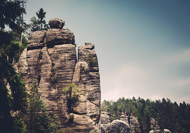 Sandstone rocks and fir trees in The Rock City Adršpach (Bohemia, Czech Republic).