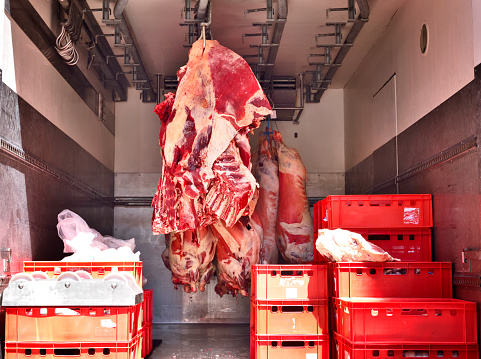 Raw beef, butchery transport. Raw meat hanging on meat hooks in a truck. 