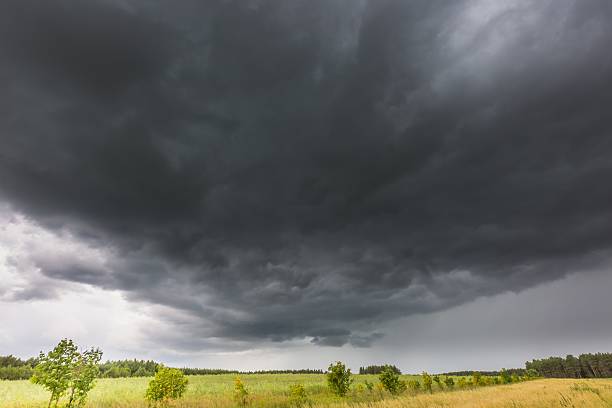 istock Summer landscape with storm sky over rye field 481330402